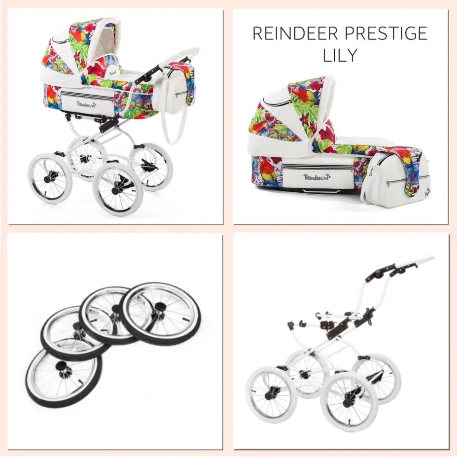   Reindeer Prestige Lily,   ,  +  L-4, 