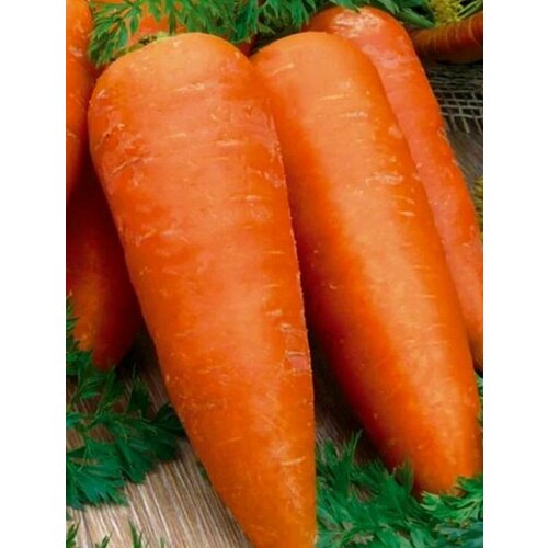 Коллекционные семена моркови F1 Купар