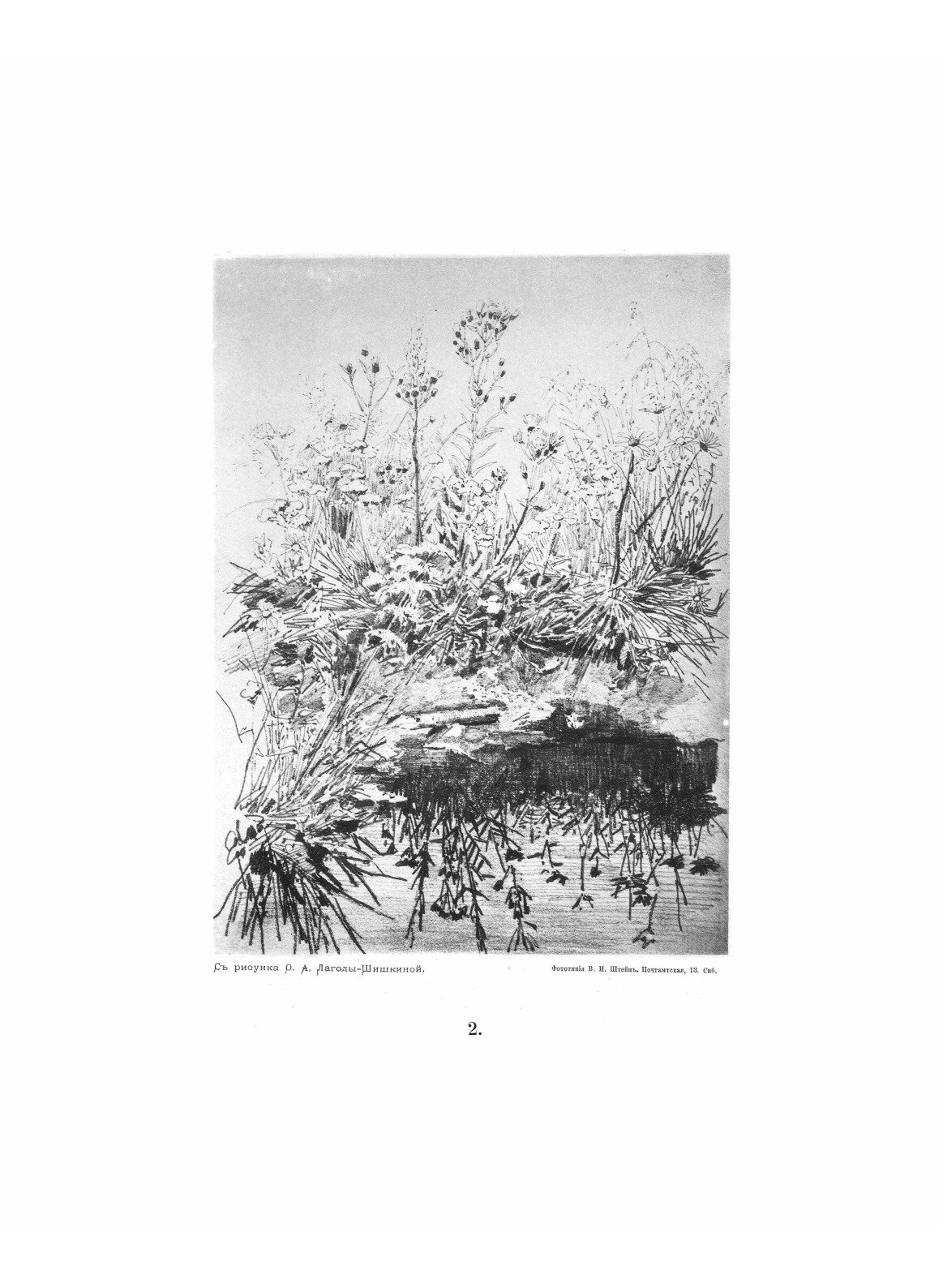 Книга Рисунки карандашом 1879-1880 гг - фото №7