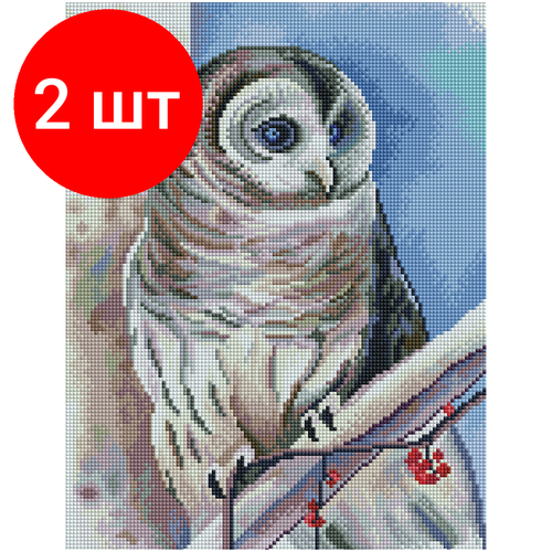 Комплект 2 шт, Алмазная мозаика ТРИ совы Белая сова, 30*40см, холст на деревянном подрамнике, картонная коробка с пластиковой ручкой