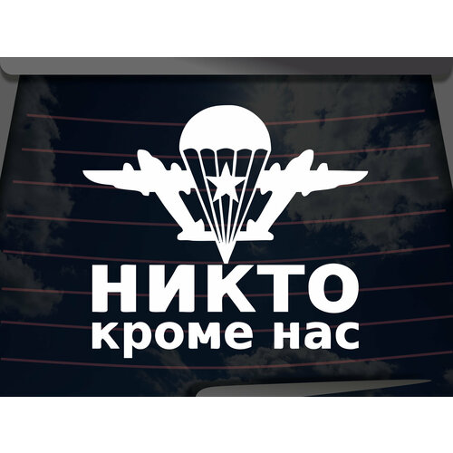 Виниловая наклейка на автомобиль 