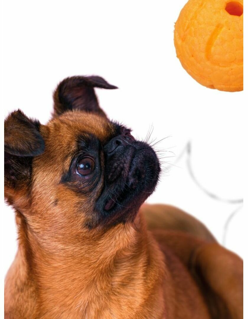 Mr.Kranch Игрушка для собак Мяч 6 см оранжевый - фотография № 6