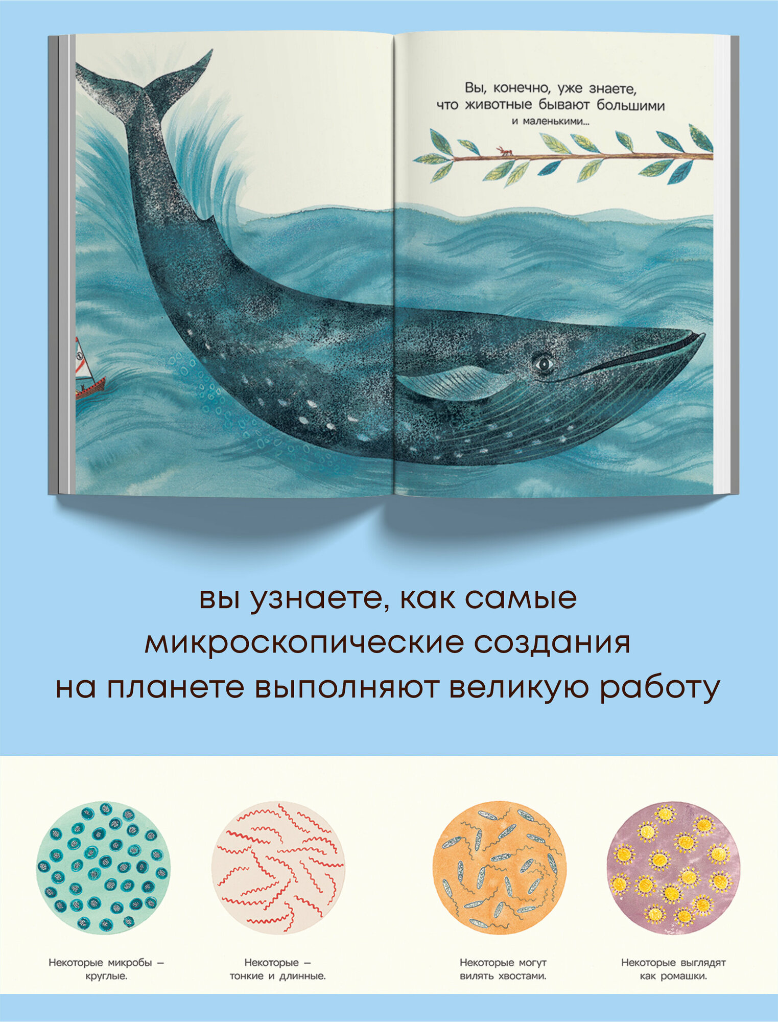 Микро. Тайная жизнь невидимого мира - фото №6