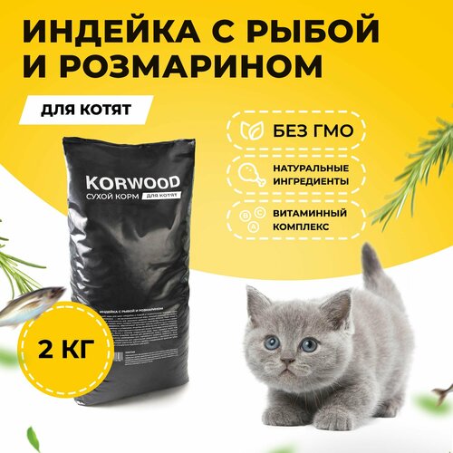 Корм для котят 