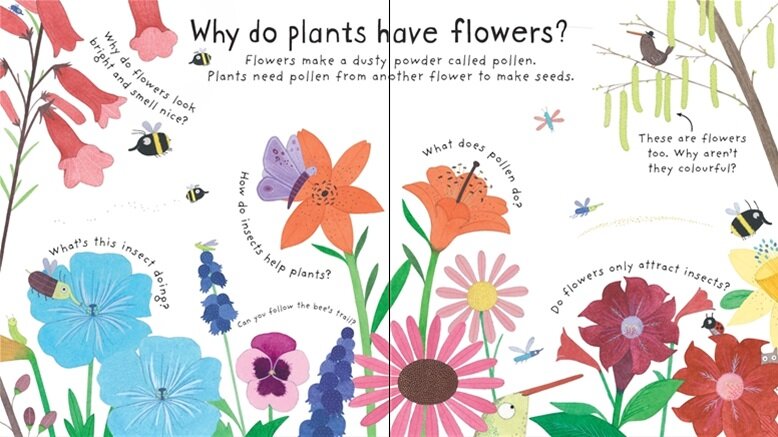 Lift-the-Flap Questions and Answers How Do Flowers Grow? (Вопросы и ответы: как растут цветы?) - фото №8