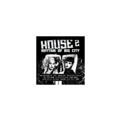 AUDIO CD Various Artists House Rhythm of big City vol2 2399₽