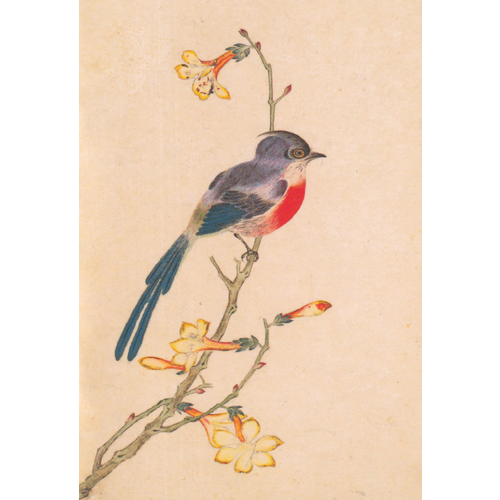 _Блокнот(Шанс) А6(о) Птицы, насекомые и цветы Синяя птичка [76-09-6] птицы и насекомые раскраска