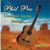 Струны PHIL PRO классической гитары с обмоткой из посеребренной меди 028-043 - изображение