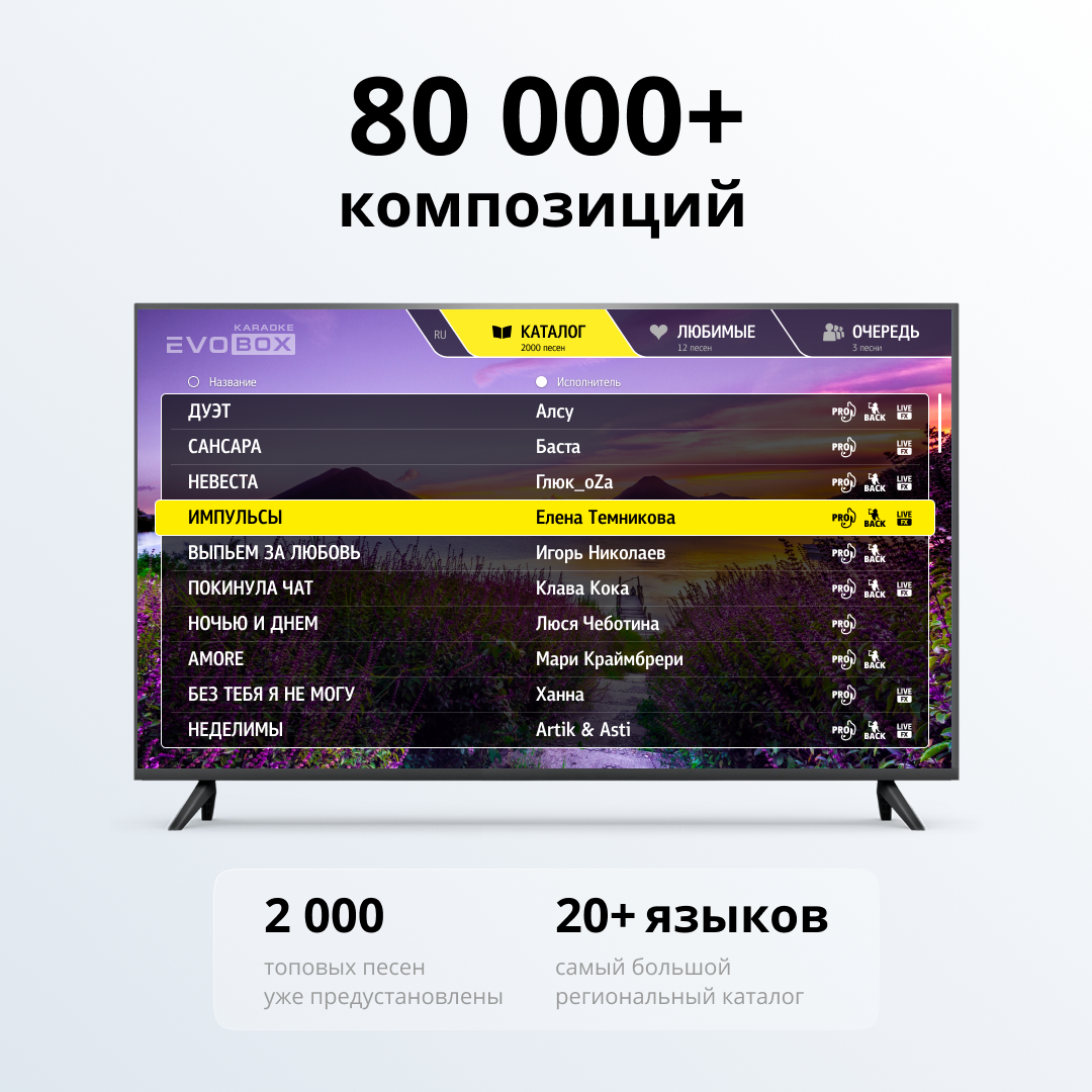 Система караоке Studio Evolution Evobox