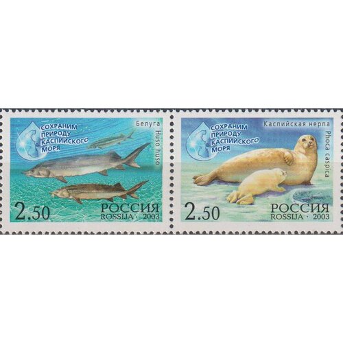 Почтовые марки Россия 2003г. Сохраним природу Каспийского моря Рыбы MNH