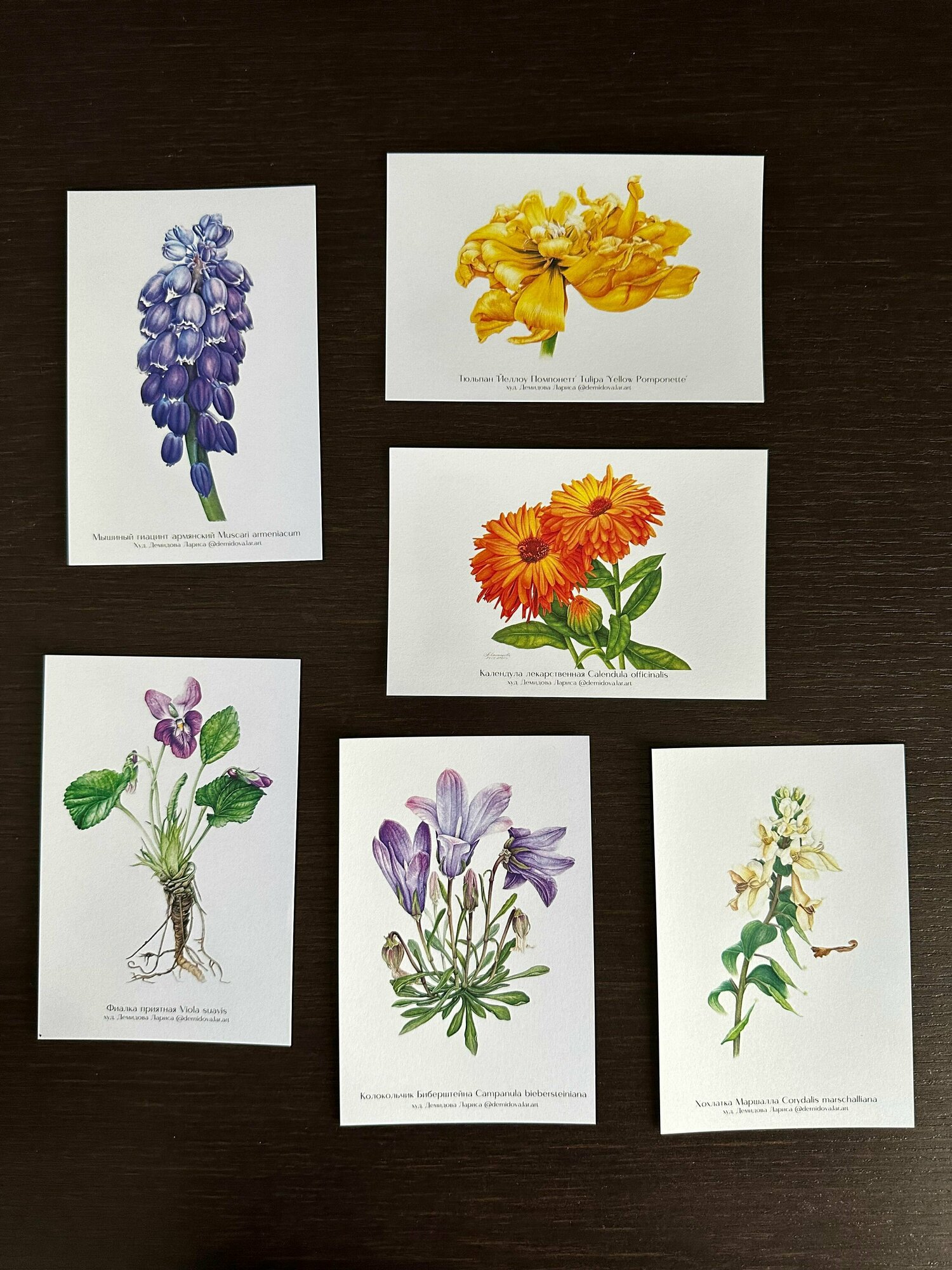 Комплект авторский открыток "весна" ботанического художника