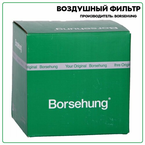 BORSEHUNG B19096 Фильтр воздушный