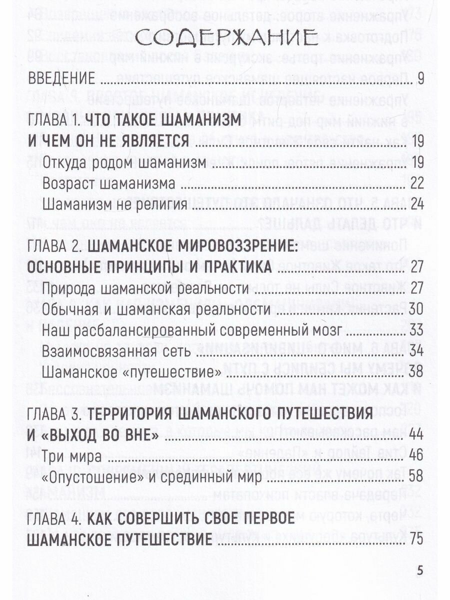 Практическое руководство по терапевтическому шаманизму - фото №6