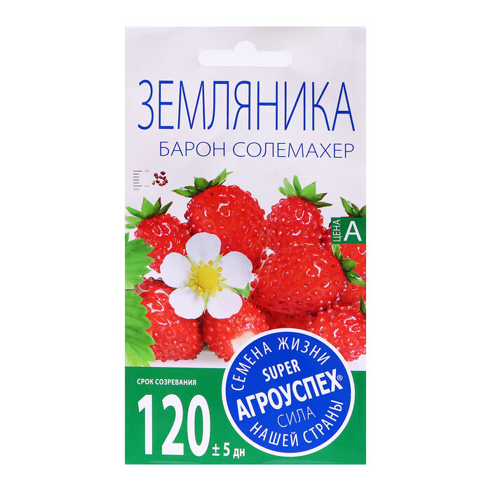 Семена Земляника 