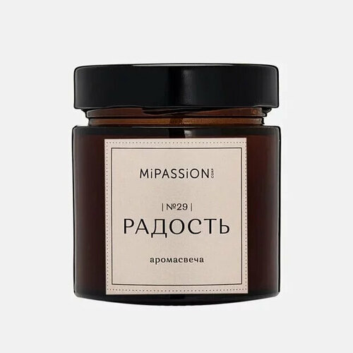 MiPASSiON Свеча парфюмированная в банке 