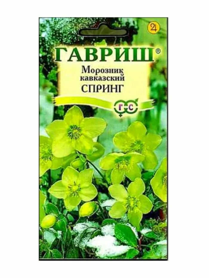 Морозник Спринг 01г лимонно-зеленый восточный/ Гавриш
