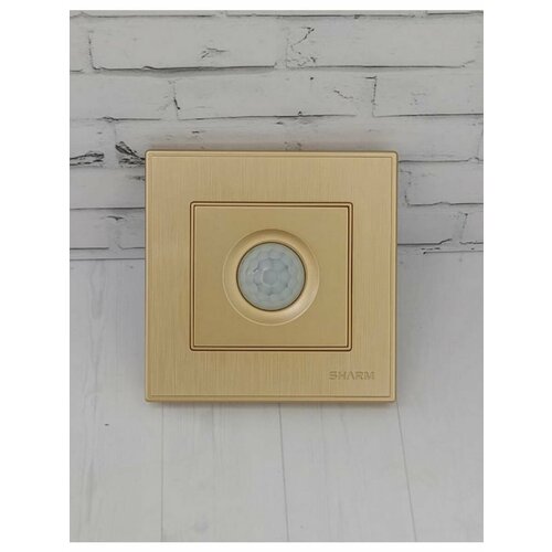 Выключатель света с сенсорным датчиком движения шампань 484