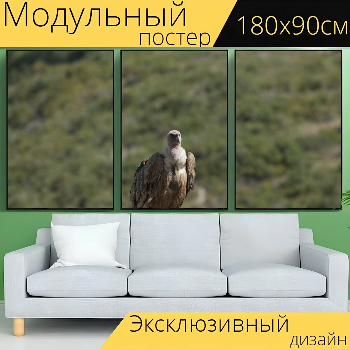 Модульный постер "Стервятник, птица, хищная птица" 180 x 90 см. для интерьера