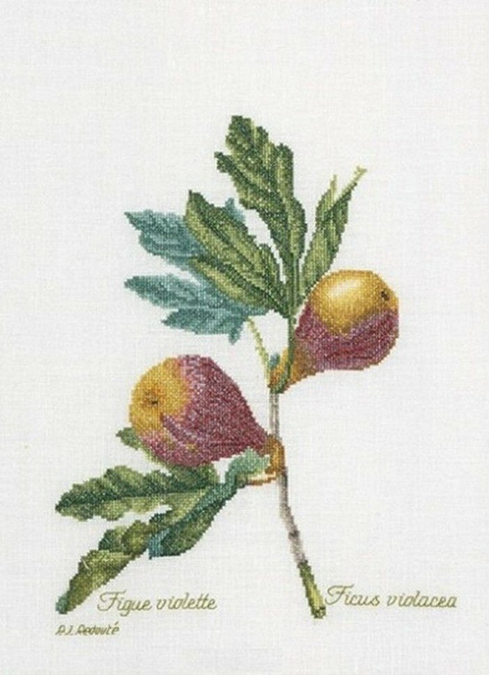 Figs (Инжир) #2087 Thea Gouverneur Набор для вышивания 26 x 35 см Счетный крест