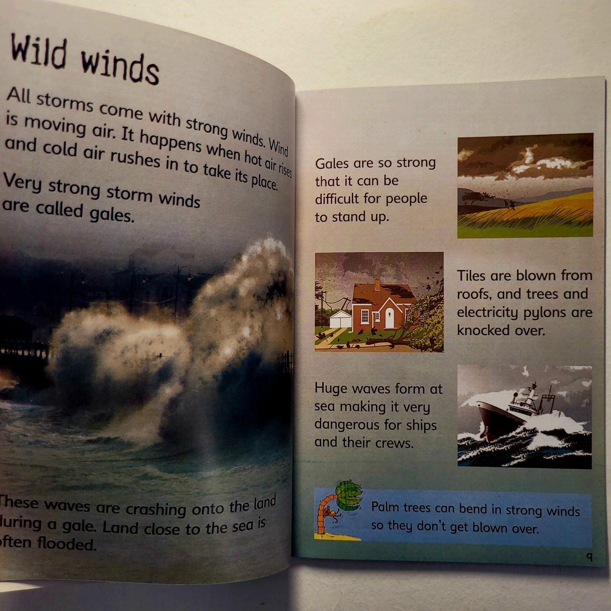 Storms and Hurricanes (Emily Bone) - фото №9