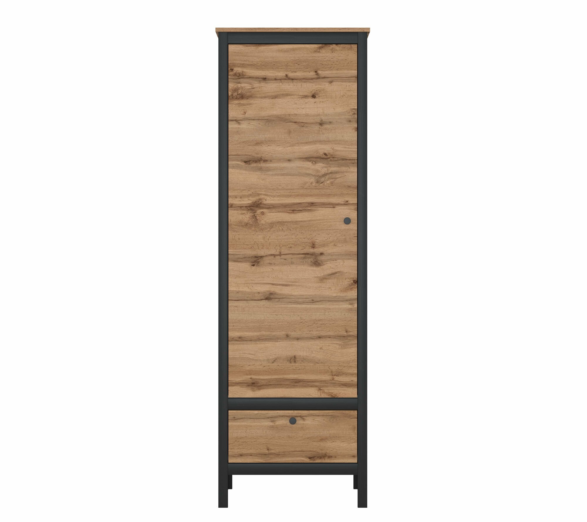 фото Шкаф Loft дуб вотан REG1D1S БРВ Мебель