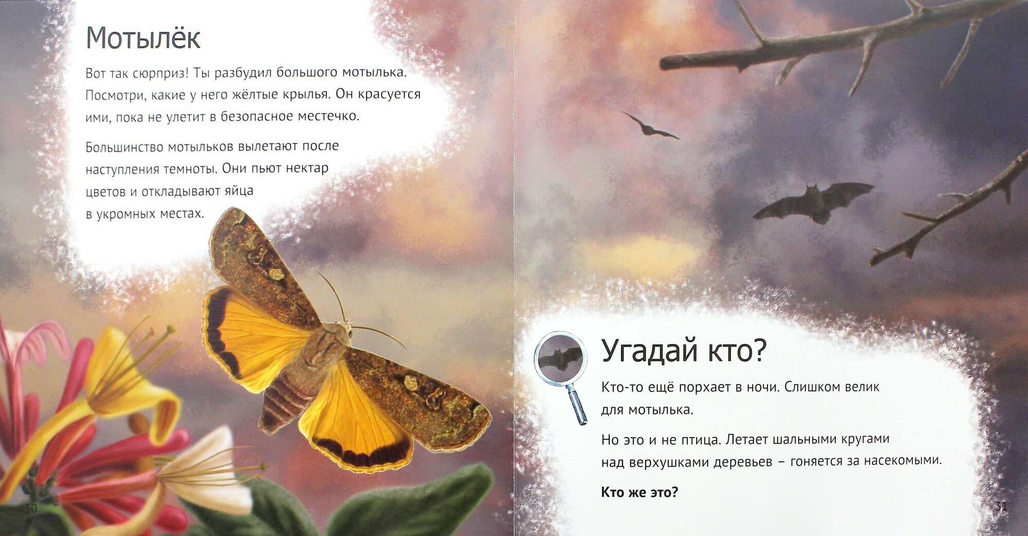 Кто живет у нас на даче. От мала до велика - фото №5
