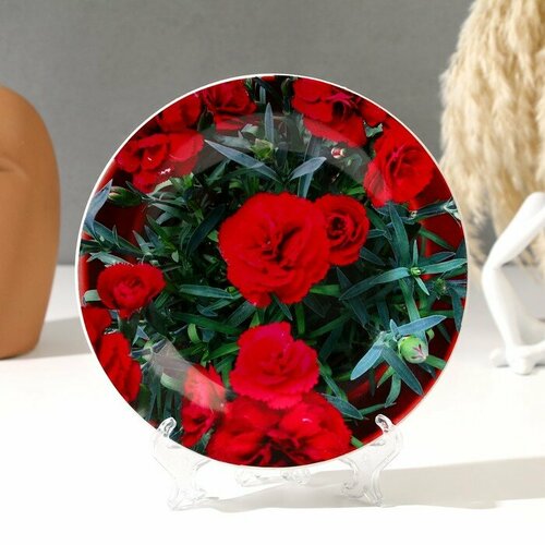 Тарелка декоративная Розочки D 175 см 710₽