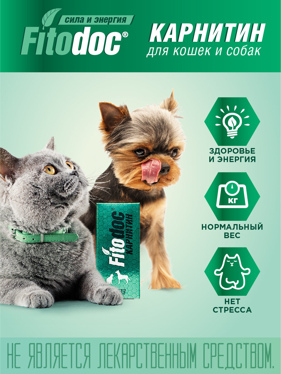 Витамины АВЗ Fitodoc Карнитин раствор 60 г 50 мл х 1 уп.