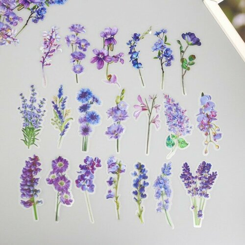 Наклейки для творчества пластик PVC Сиреневое поле набор 40 шт 9х105 см 348₽