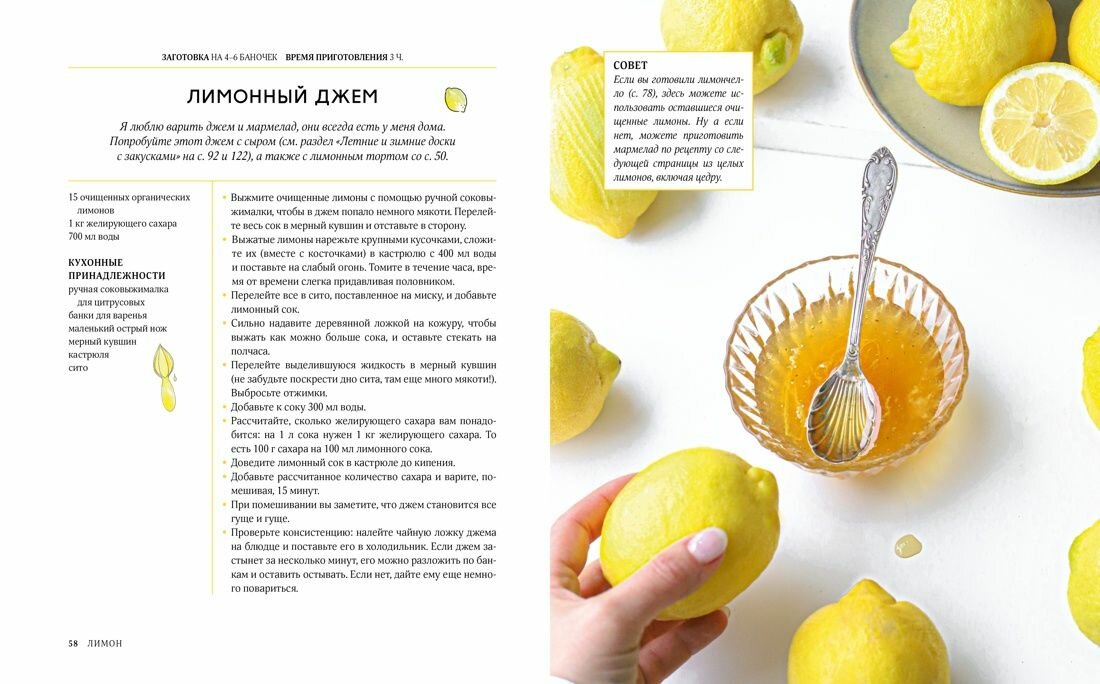 Лимон От корки до корки Яркие рецепты с цитрусовыми нотками - фото №13