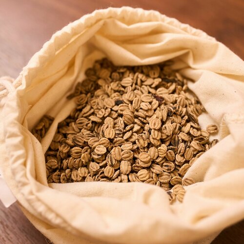 Семена декоративного кустарника Калины гордовины, 2 грамма (примерно 32 шт) семена калина гордовина viburnum lantana 30 штук