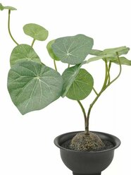 Комплект 3 шт. Искусственное растение и кашпо IKEA FEJKA фейка 9 см д/дома/улицы Стефания