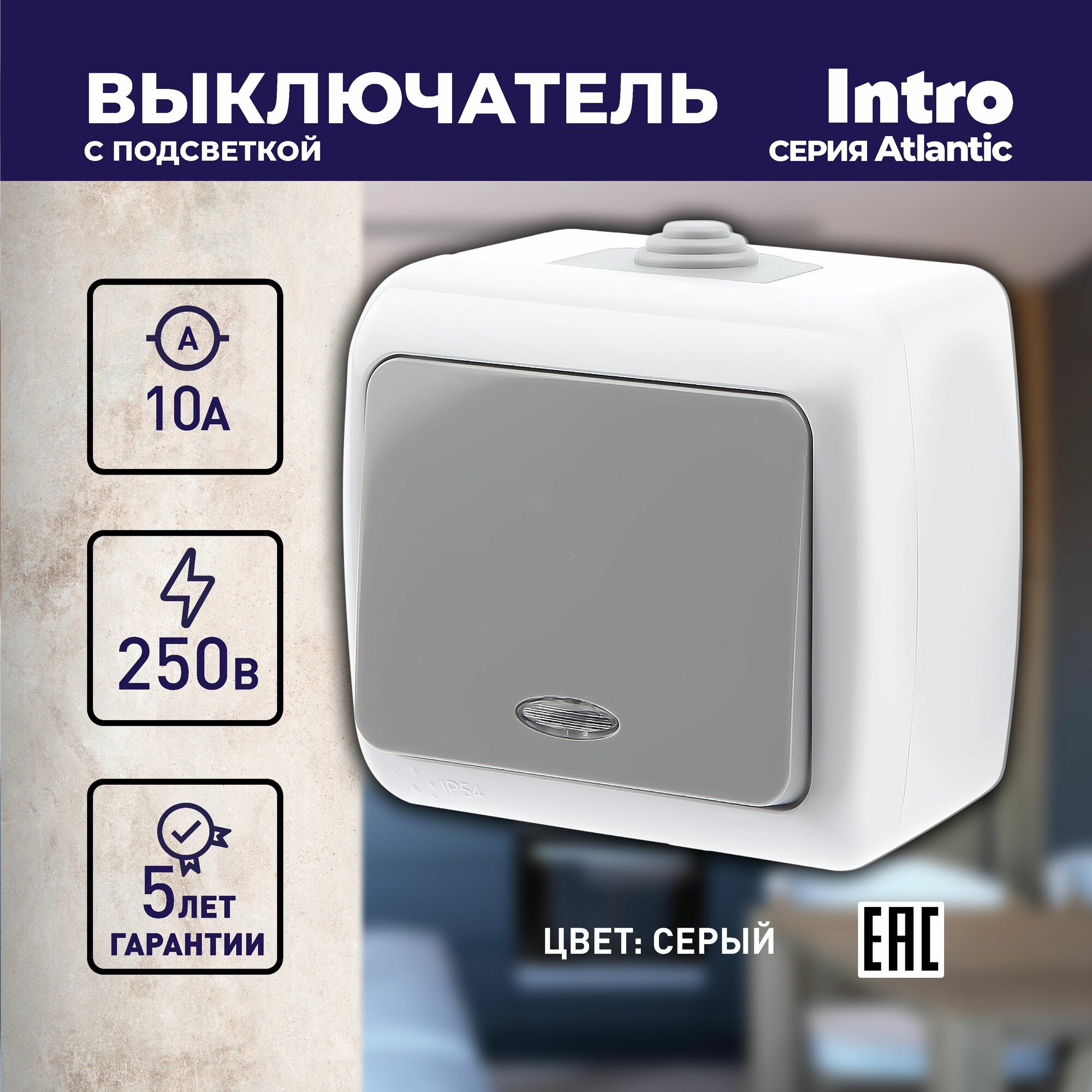 фото Выключатель Intro Atlantic 5-102-03 с подсветкой, 10А-250В, IP54, открытой установки, серый