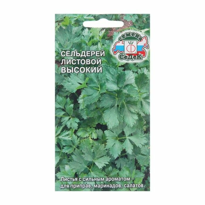 Семена Сельдерей "Высокий" листовой, 0,5 г ( 1 упаковка )