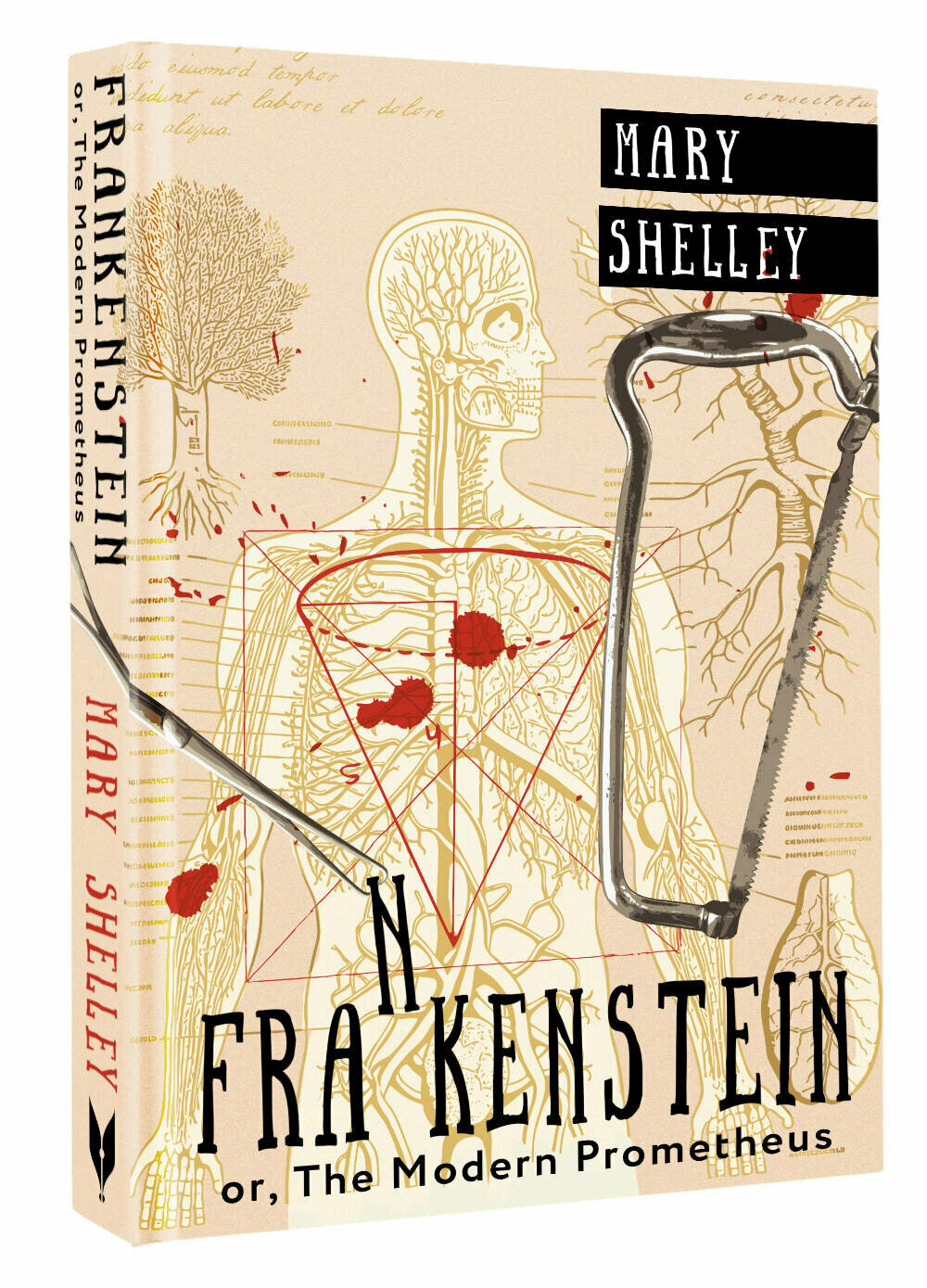 Frankenstein; or, The Modern Prometheus Shelley M.