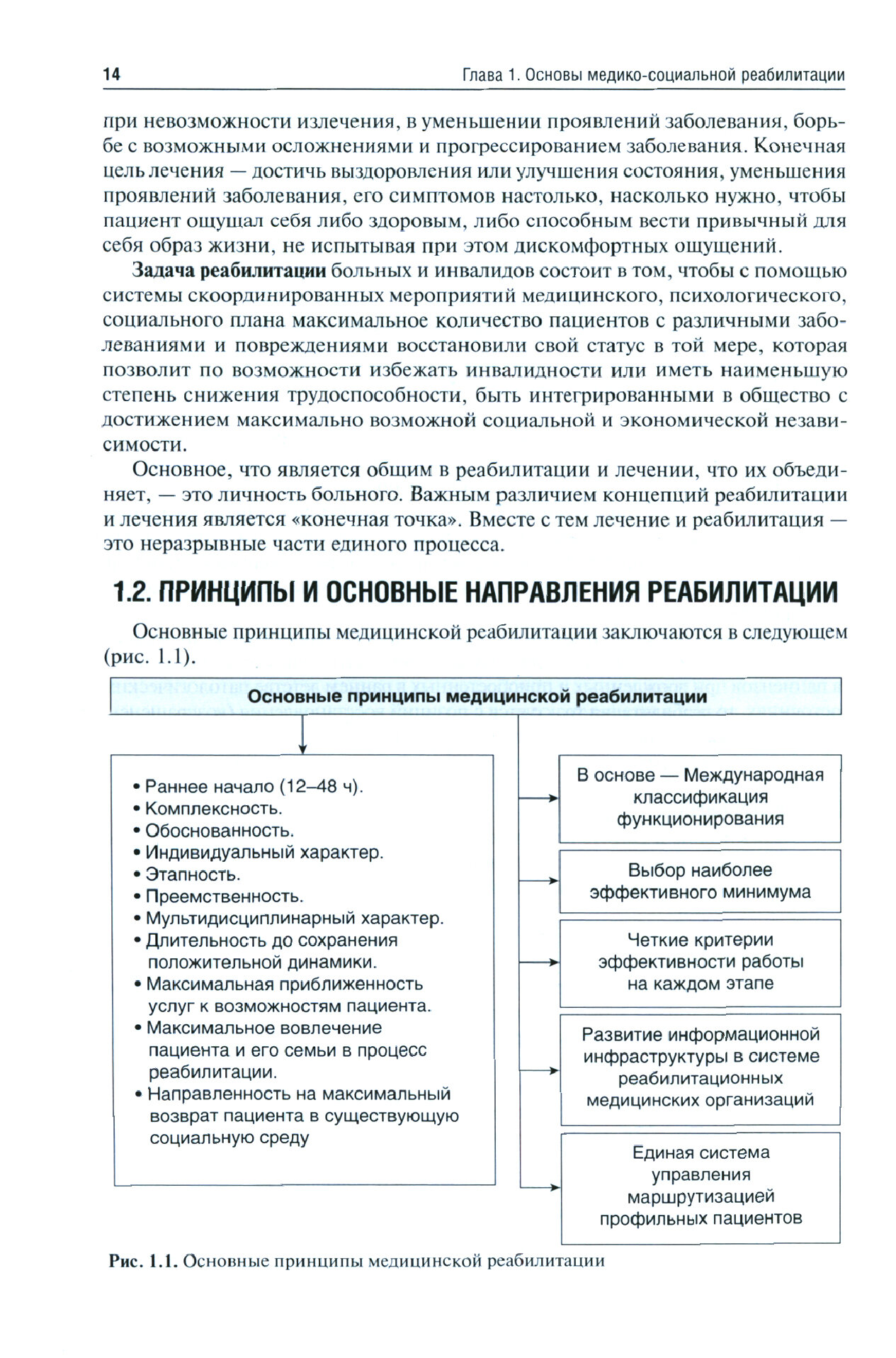 Лечебная физическая культура (Епифанов Виталий Александрович; Епифанов Александр Витальевич; Галсанова Елизавета Санжиевна) - фото №7