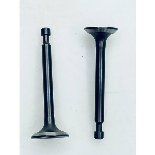 Клапан впускной выпускной Carver Y139VY100V 0102500075 1247 1024₽