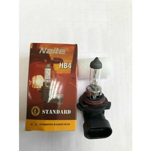 Лампа HB4 12V 51W P22d (9006)