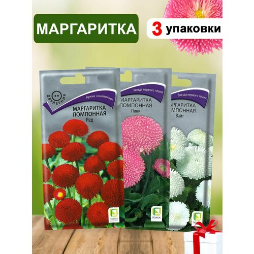 Семена маргаритки 3шт