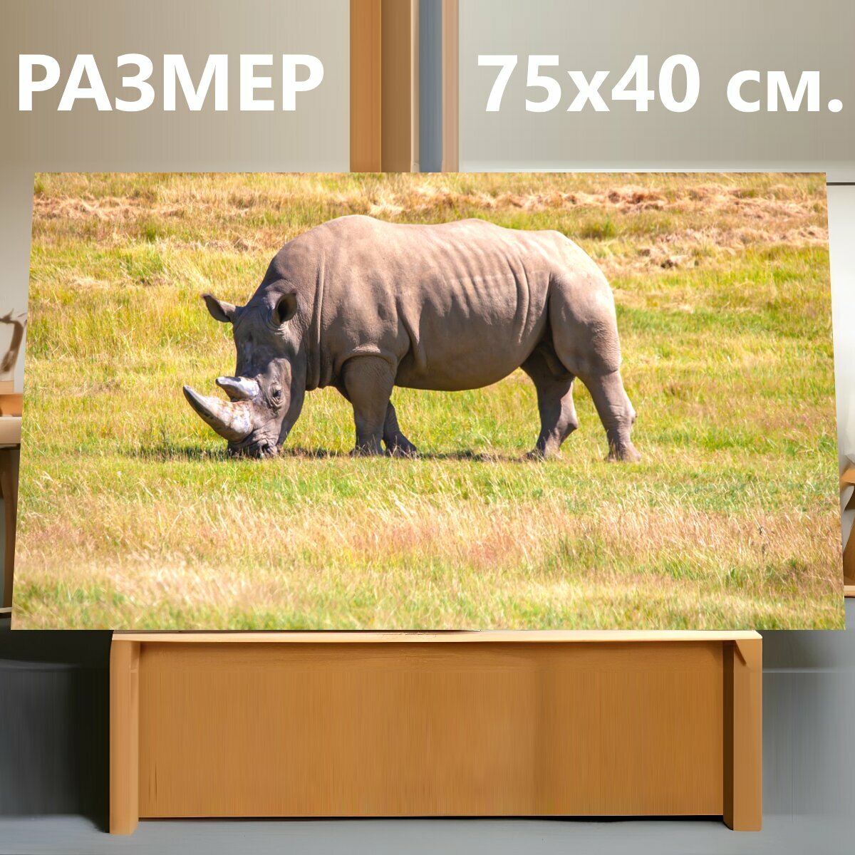 Картина на холсте "Южный белый носорог, белый носорог, носорог" на подрамнике 75х40 см. для интерьера