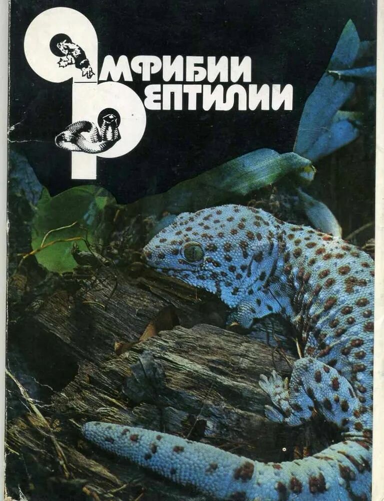 Амфибии Рептилии (набор из 22 открыток)
