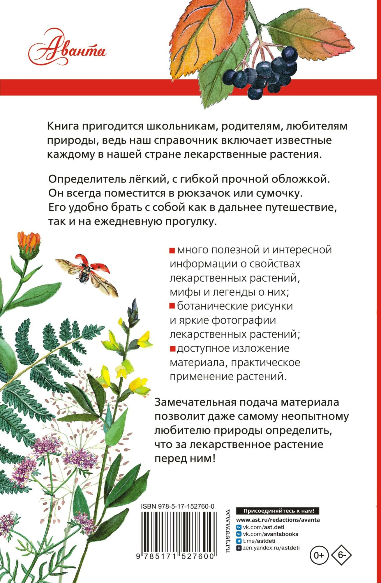 Лекарственные растения России (Филин Алексей Николаевич) - фото №3