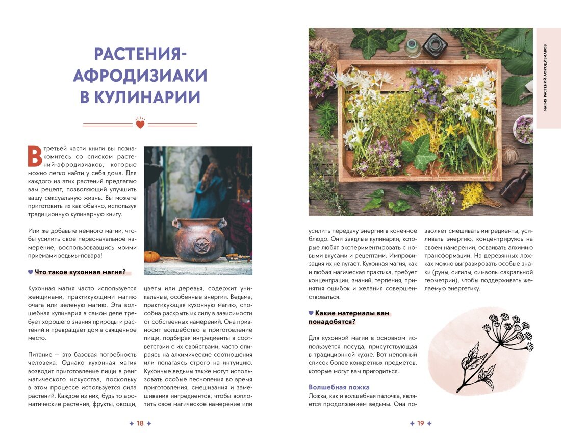 Растения любви (Сидарта Рибейро) - фото №7