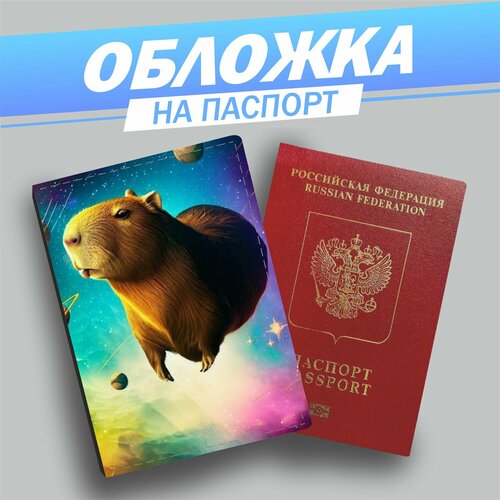 Обложка для паспорта , мультиколор