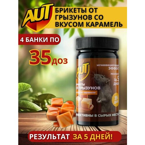 Крысиный яд средство от мышей отрава для крыс и грызунов брикеты АУТ со вкусом карамель 4 шт по 35 доз