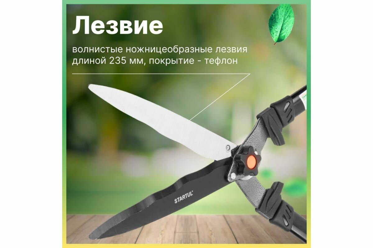 Изображение Ножницы для кустов STARTUL Garden ST6096-02