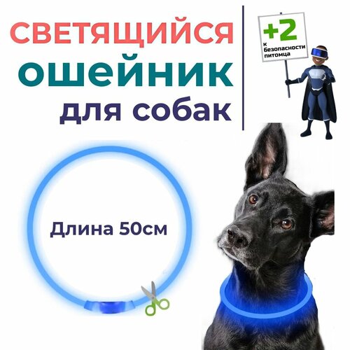 Светящийся ошейник для собак и кошек, регулируемый, 50 см. Синий