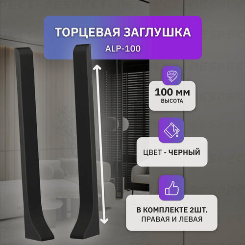 Изображение товара Торцевая заглушка алюминиевая для накладного плинтуса высотой 100 мм, 2 шт, черный