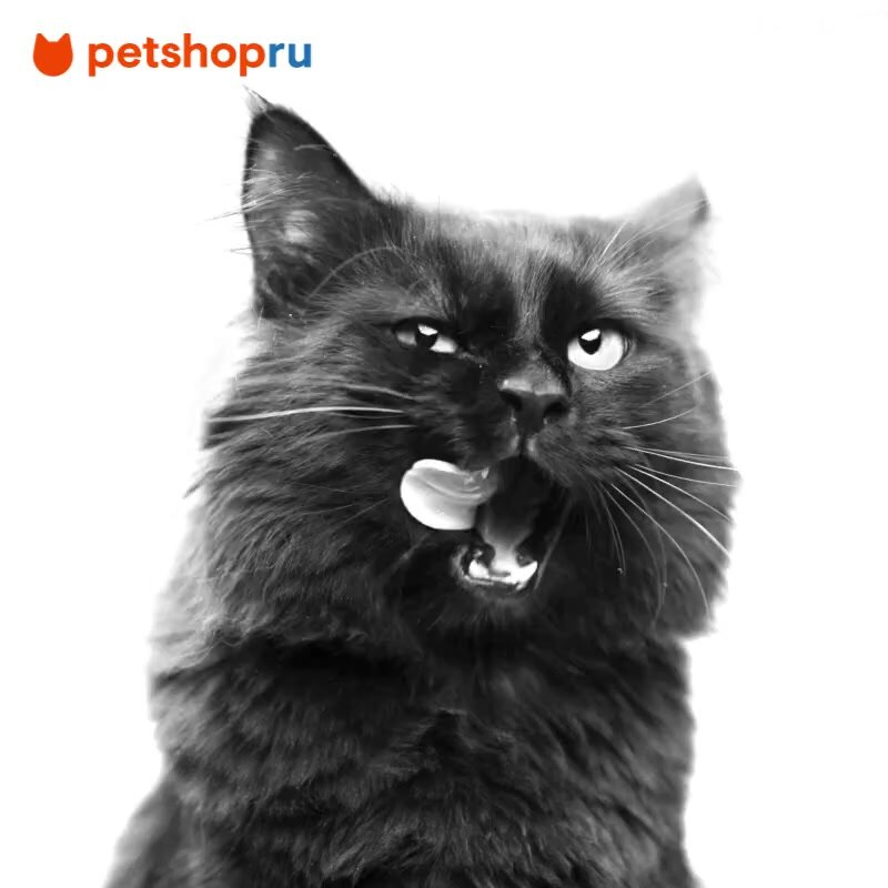 Royal Canin Корм сухой сбалансированный для взрослых кошек с чувствительной пищеварительной системой, Sensible 33 — фото 1