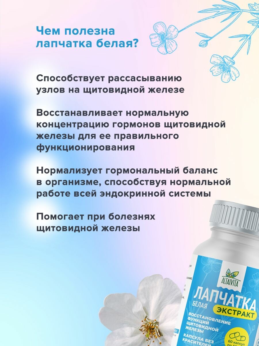 Изображение Лапчатка белая, экстракт для щитовидной железы 60 капсул